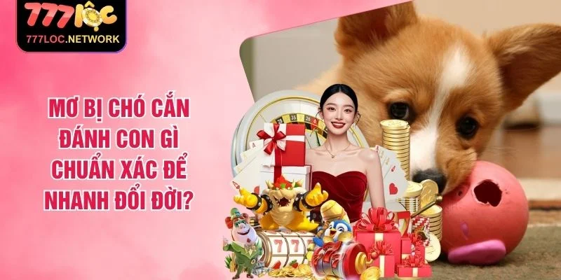 Mơ Bị Chó Cắn Đánh Con Gì Chuẩn Xác Để Nhanh Đổi Đời?